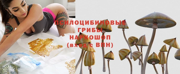 хмурый Алзамай