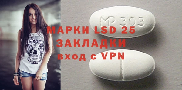 хмурый Алзамай