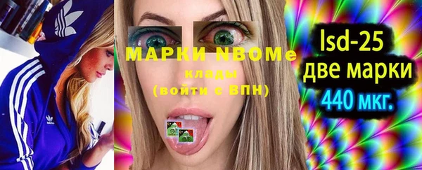 хмурый Алзамай
