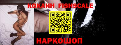 spice Камышлов