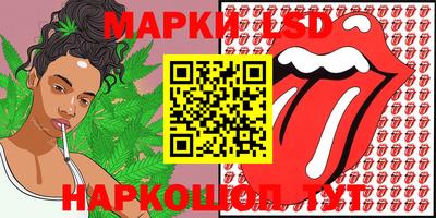spice Камышлов