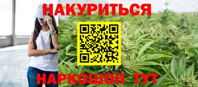 сатива Кандалакша