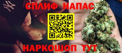 spice Камышлов