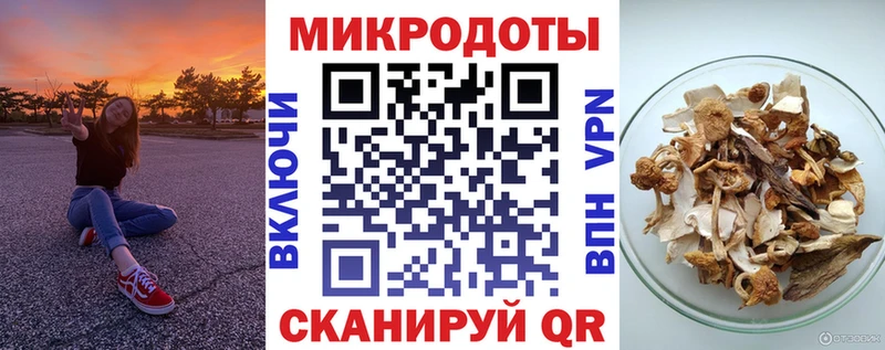 Галлюциногенные грибы MAGIC MUSHROOMS  как найти закладки  Котовск 