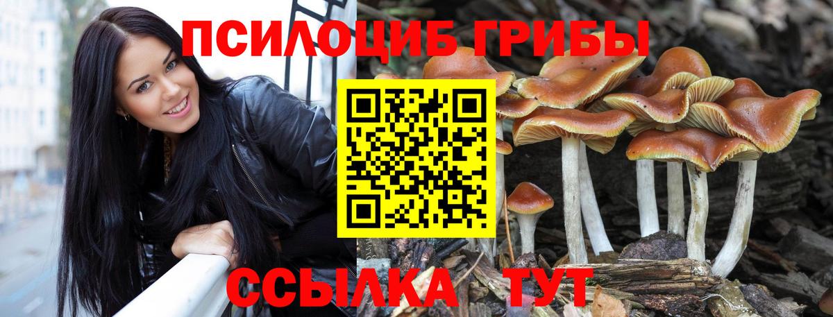 Меф МЯУ МЯУ  ГАШИШ  Вход с VPN  Канабис  Котовск  A-PVP СОЛЬ   Как найти наркотики?  Меф МЯУ МЯУ  